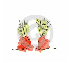 A watercolor sketch of a carrot growing in the ground. photo
